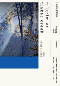 汀克溪畔的朝聖者 (麥田 2020)