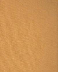 Insect Societies (Belknap Press 1971)