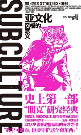 亚文化：风格的意义 （中文版）SUBCULTURE