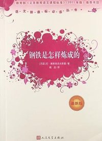 钢铁是怎样炼成的 (人民文学出版社 1995)
