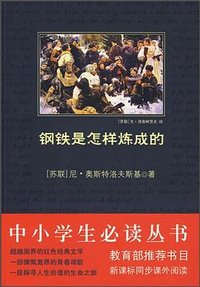 钢铁是怎样炼成的 (陕西师范大学出版社 2009)