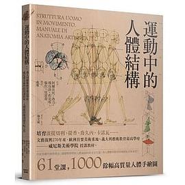 運動中的人體結構