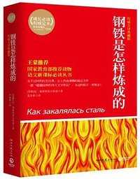钢铁是怎样炼成的 (湖南文艺出版社 2011)