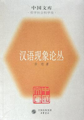 汉语现象论丛