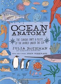 Ocean Anatomy (Storey Publishing 2020)