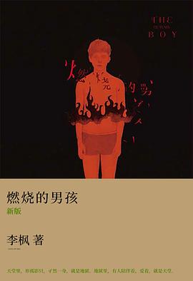 燃烧的男孩