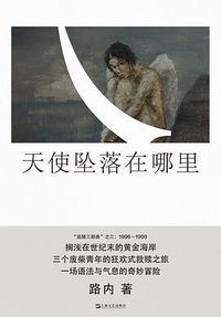 天使坠落在哪里 (上海文艺出版社 2023)