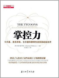 掌控力 (石油工业出版社 2014)