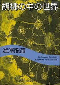 胡桃の中の世界 (河出書房新社 2007)