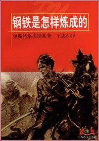 钢铁是怎样炼成的 (上海译文出版社 1998)