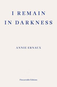 I Remain in Darkness (Fitzcarraldo Editions 2019)