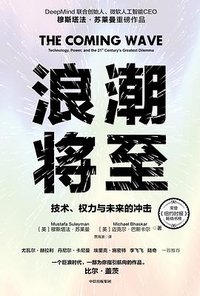浪潮将至 (中信出版集团 2024)