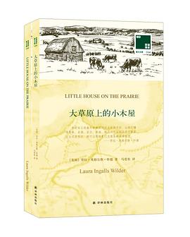 大草原上的小木屋