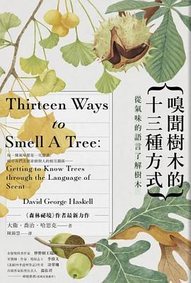 嗅聞樹木的13種方式