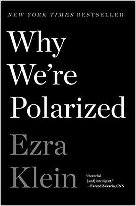 Why We're Polarized