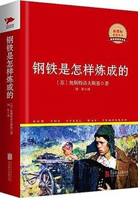 钢铁是怎样炼成的 (北京联合出版公司 2012)