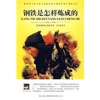 钢铁是怎样炼成的