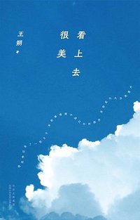 看上去很美 (北京十月文艺出版社 2024)