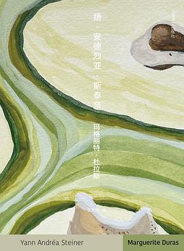 扬·安德烈亚·斯泰奈