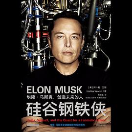 硅谷钢铁侠