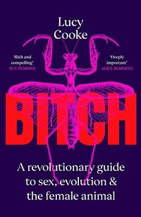 Bitch (Basic Books 2022)