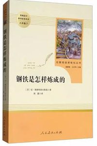 钢铁是怎样炼成的 (人民教育出版社 2018)