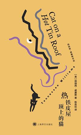 热铁皮屋顶上的猫