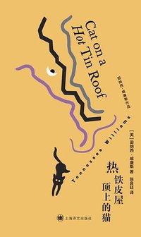 热铁皮屋顶上的猫 (上海译文出版社 2025)