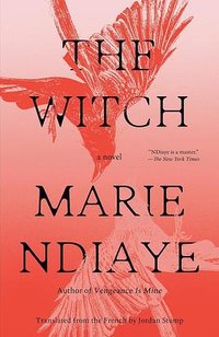 The Witch: A Novel (Vintage 2026)