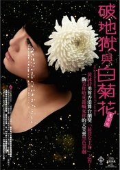 破地獄與白菊花