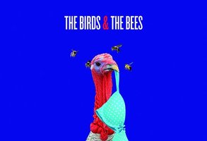 The Birds & the Bees