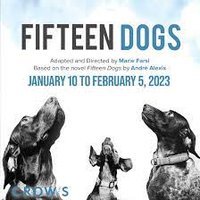 FIFTEEN DOGS