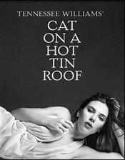 热铁皮屋顶上的猫 1974年版