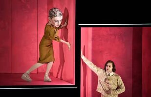 玛丽·斯图亚特 2007年版