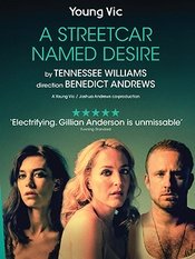 欲望号街车 2014年Young Vic版