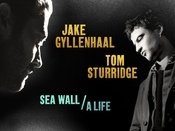 管理员，可不可以把这两个页面合并？ https://www.douban.com/location/drama/33411890/ 2019 Broadway版