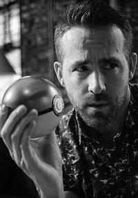 雷诺兹：如何成为一只贱皮