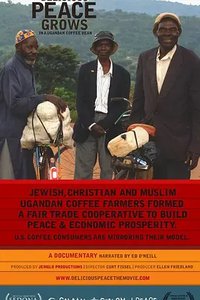 Delicious Peace Grows in a Ugandan Coffee Bean