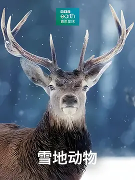 Snow Animals