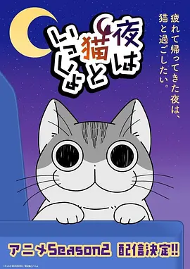 与猫共度的夜晚 (关于养猫我一直是新手 第二季)