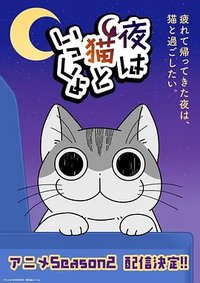 与猫共度的夜晚 (关于养猫我一直是新手 第二季)