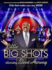 Little Big Shots (小达人 第一季)