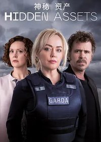 隐藏资产 (神秘资产)