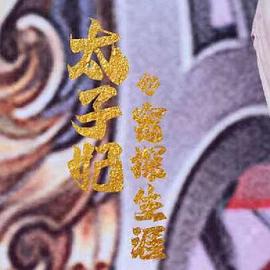 太子妃的密探生涯