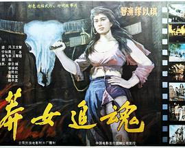 国际大营救之血战缅甸