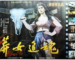 国际大营救之血战缅甸