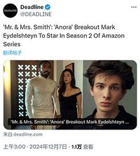 史密斯夫妇(剧版)