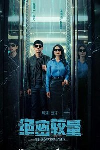 绝密较量 (安全危机)