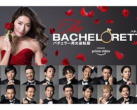 女单身汉 日本版 女单身汉 日本版