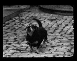 Examen d’entrée INSAS